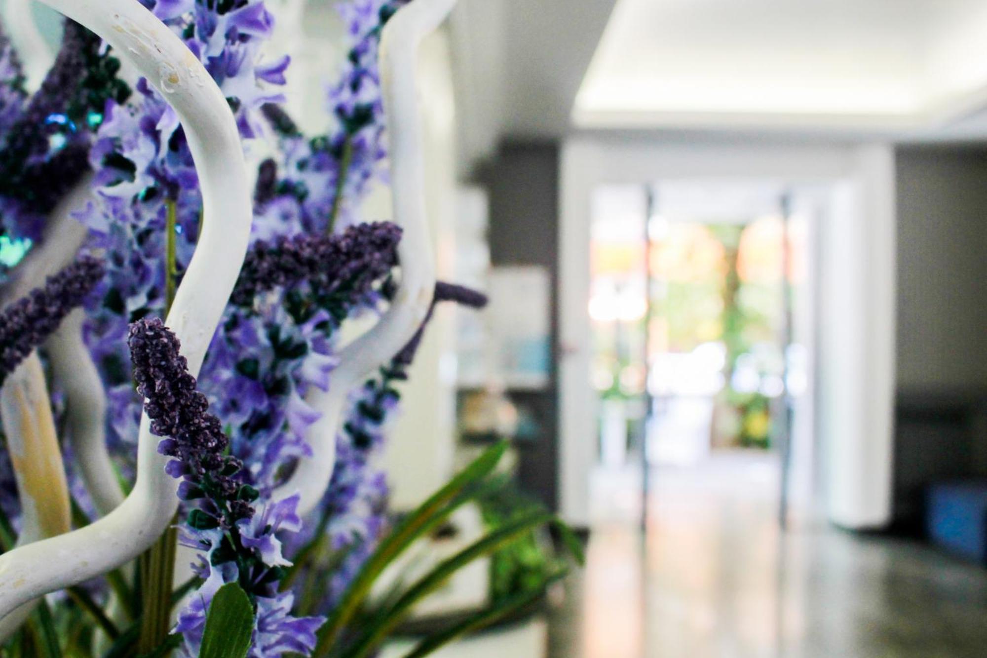 Hotel Della Motta Bellaria-Igea Marina Zewnętrze zdjęcie